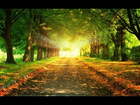 Youtube: The Best of Kevin Kern - 4 Hour Golden Collection - Relaxing New Age Piano for Sleep and Study