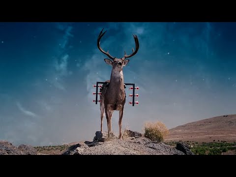 Youtube: Gentlemen Broncos battle stag scene HD