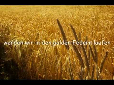 Youtube: Eva Cassidy - Fields Of Gold Lyric (D)