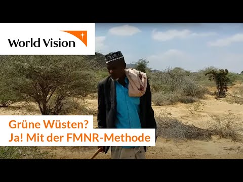Youtube: Grüne Wüsten? Ja - mit der FMNR-Methode