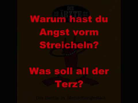 Youtube: Schrei nach Liebe- die Ärzte (mit Lyrics)