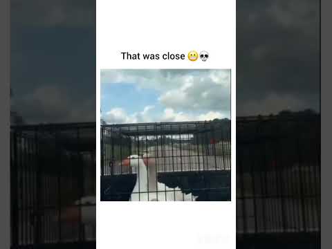 Youtube: they are smarter than you think 😃 #shorts #funny #memes #comedy #fyp #humor #shortsfeed #trend