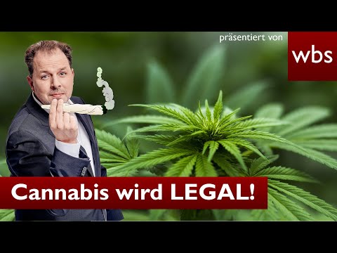 Youtube: Cannabis wird LEGAL! Ampel gibt Kiffen frei | Anwalt Christian Solmecke