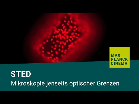 Youtube: STED - Mikroskopie jenseits optischer Grenzen