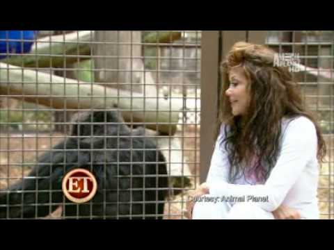 Youtube: La Toya Jackson - Reunion With Bubbles (June 2010)