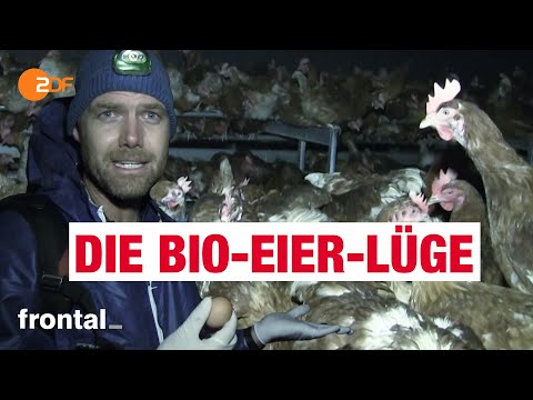 Youtube: Bio-Eier: Massentierhaltung und Tierleid | frontal