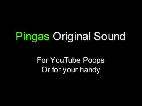 Youtube: Pingas!! (Original Sound)