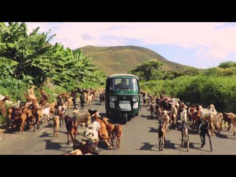 Youtube: Roo Panes - Open Road