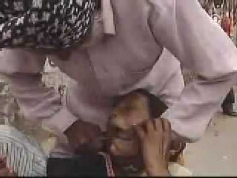 Youtube: Strassenzahnarzt in Indien CUT