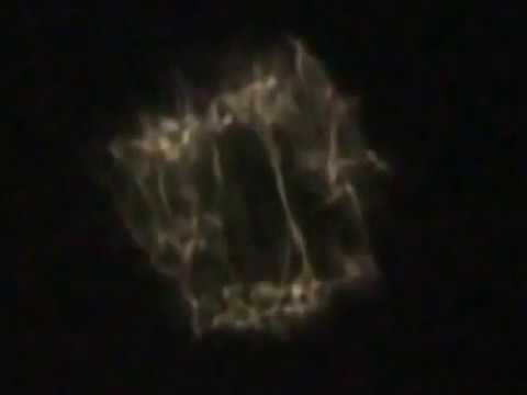 Youtube: UFO Sighting of Mothership Size UFOs in our Solar System by Astronomer J.L. Walson !