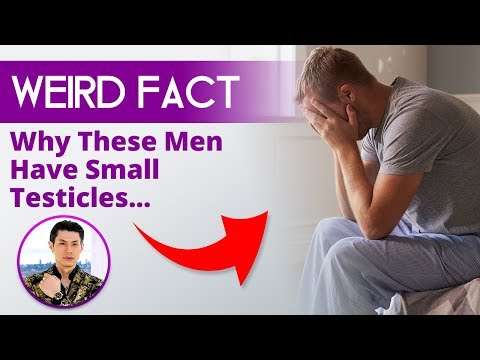Youtube: Why These Men Have Small Testicles - Weird Fact