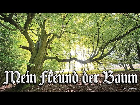 Youtube: Mein Freund der Baum [Schlager song][+English translation]