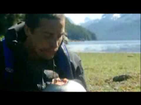 Youtube: Man vs. Wild - Bear, Just Eat It!