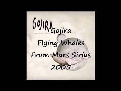Youtube: Gojira-Flying Whales (Lyrics)