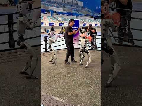 Youtube: Humanoid robot sneak attack coach in the World Humanoid Robot Games. #humanoidrobot #china
