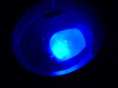 Youtube: Leuchtendes Klo, glowing water-closett