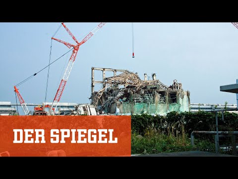 Youtube: 10 Jahre Fukushima: »Für immer gebrandmarkt« | DER SPIEGEL