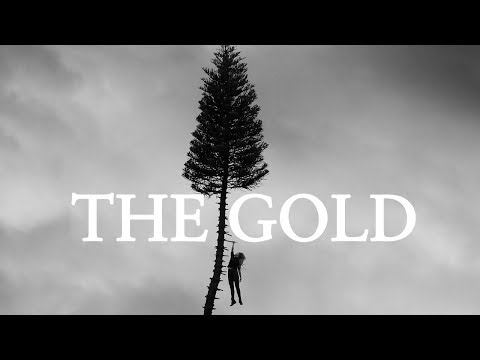 Youtube: Manchester Orchestra - The Gold (Official Video) from A Black Mile To The Surface