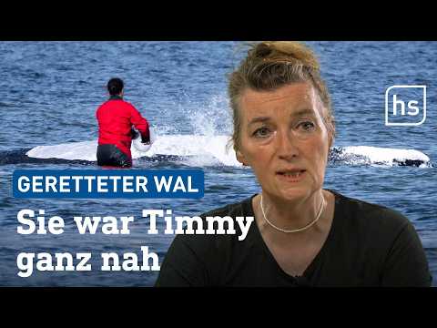 Youtube: Gestrandeter Wal: Kirsten Tönnies war live dabei bei der Timmy-Rettung