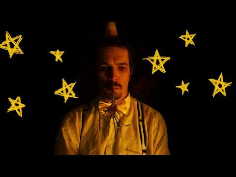 Youtube: Fish in a Birdcage - Rule #47 - The Birds Are Plotting (Official Music Video)