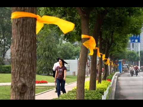 Youtube: Tony Orlando & Dawn - Tie A Yellow Ribbon Around The Old Oak Tree