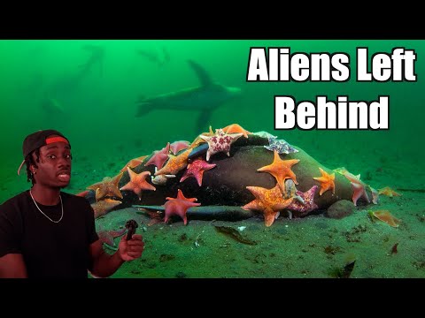 Youtube: The Terrifying Truth Behind the Aliens that Never Left