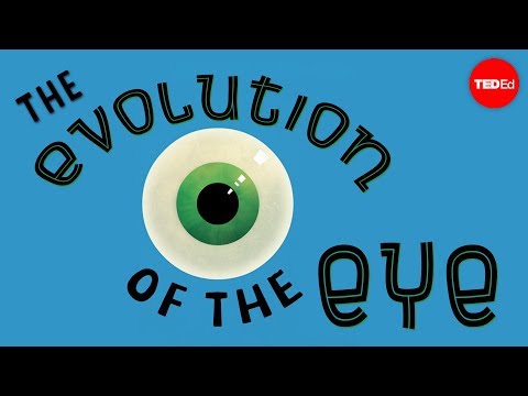 Youtube: The evolution of the human eye - Joshua Harvey
