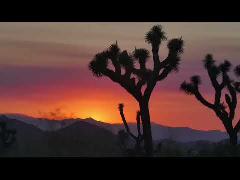 Youtube: Puscifer  - "Grand Canyon" (Official Video)