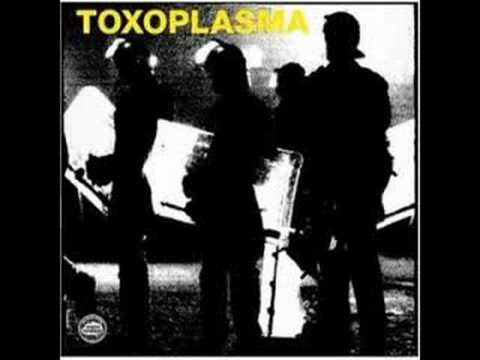 Youtube: Toxoplasma-Polizeistaat