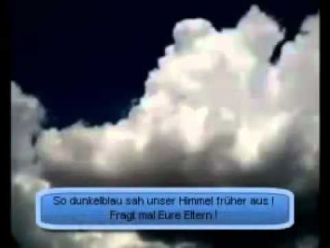 Youtube: Über den Chemtrails (Bienensterben).flv
