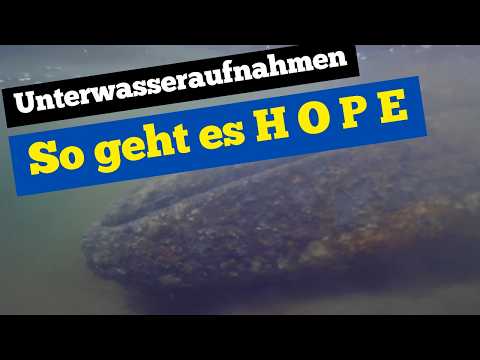 Youtube: Unterwasseraufnahmen - Hier sieht man Hope zum ersten Mal unter Wasser!