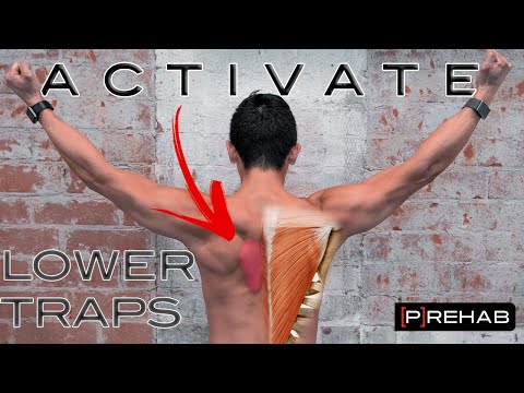 Youtube: Improve Your Lower Trap Activation
