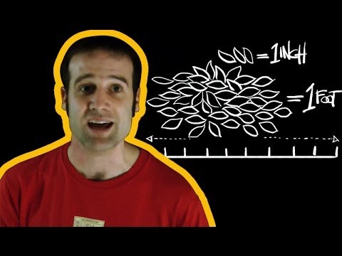 Youtube: A Guide to Imperial Measurements with Matt Parker | Earth Science