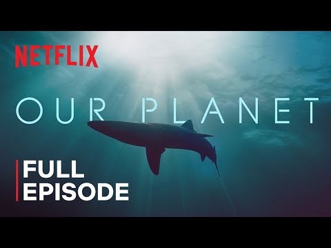 Youtube: Our Planet | Coastal Seas | FULL EPISODE | Netflix