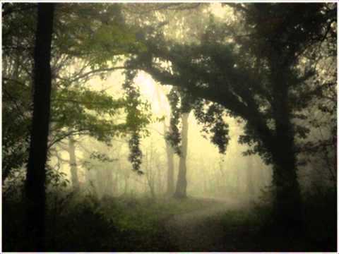 Youtube: Untitled