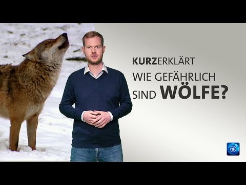 Youtube: #kurzerklärt: Wie gefährlich sind Wölfe?