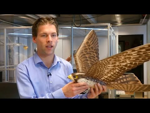 Youtube: Fliegen wie ein Jagdvogel: Roboter-Falke gegen Vögel