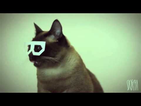 Youtube: Dubstep Cat (stereo skifcha)