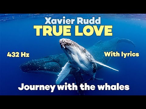 Youtube: True Love 🌟 Xavier Rudd 432Hz Lyrics 🌟 Journey With the Whales