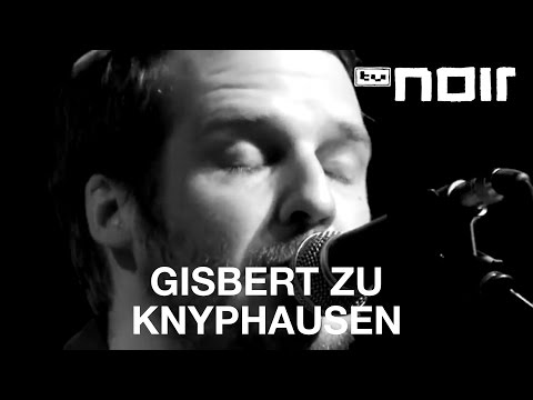 Youtube: Gisbert zu Knyphausen - Seltsames Licht (live bei TV Noir)