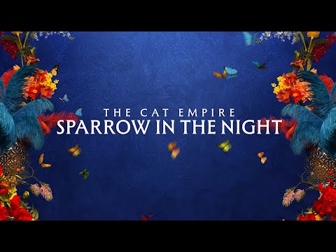 Youtube: The Cat Empire - Sparrow In The Night (Official Lyric Video)