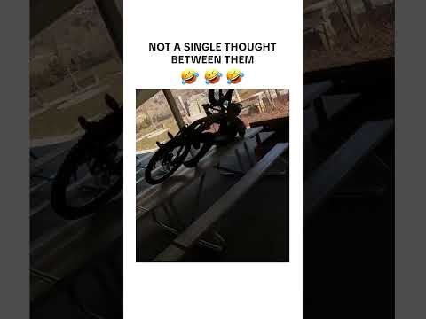 Youtube: not a thought between them 😂 #shorts