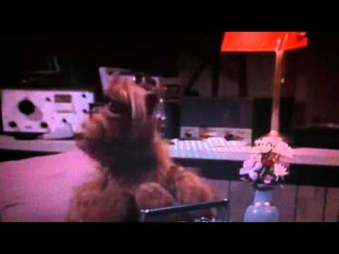 Youtube: Alf - Null Problemo