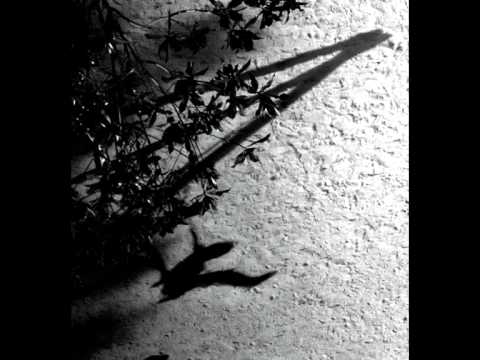 Youtube: Max Richter - On the Nature of Daylight