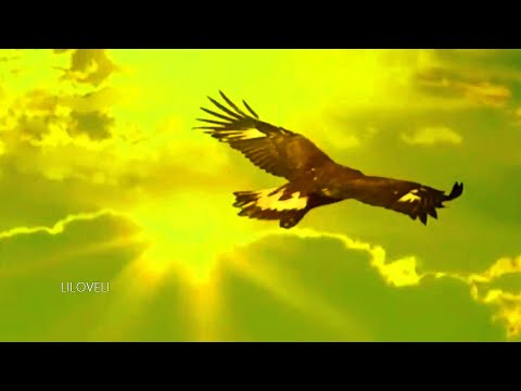 Youtube: Leo Rojas - El Condor Pasa