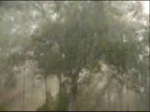 Youtube: The Critters-Don't Let The Rain Fall Down On Me