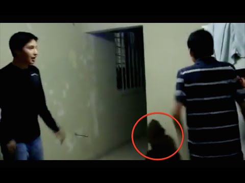 Youtube: STRANGE GNOME CREATURE CAUGHT ON TAPE, MEXICO, CLEAR FOOTAGE