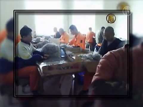 Youtube: Bo Xilai und Wang Lijun: Edle Kreuzritter oder berüchtigte Verbrecher?
