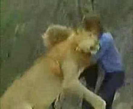 Youtube: Christian The Lion