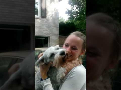 Youtube: Dog passes out from overwhelming joy | #CaseyTheDog